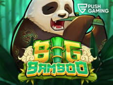 Story bet casino9